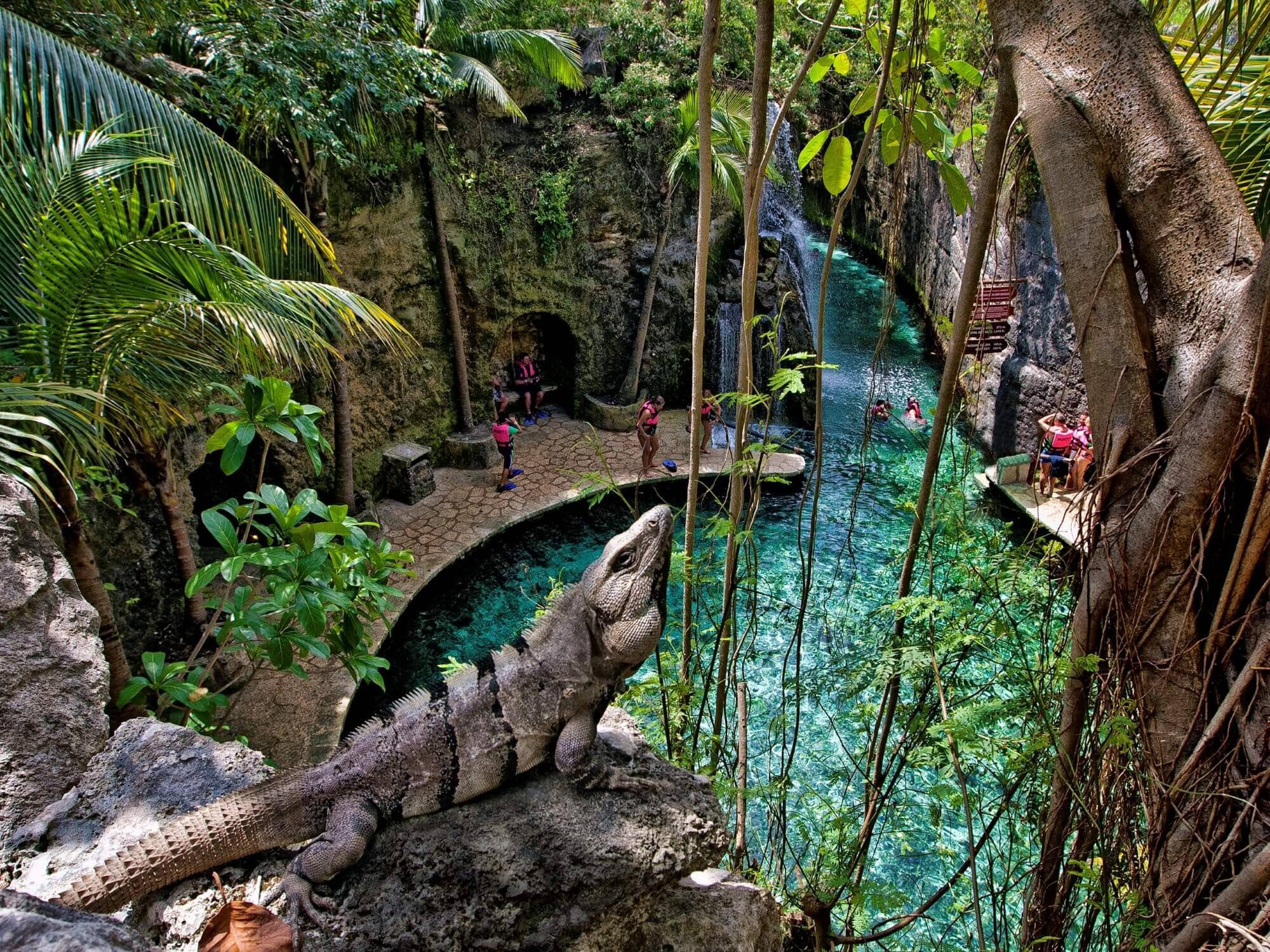 zoo