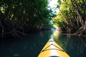 Kayak en Isla Ixtapa